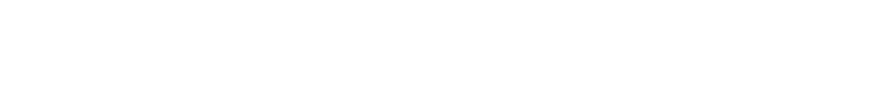 Geschäftsführer